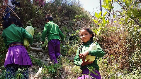 One School, One Nutrition Garden – Nutrition Sensitive Agriculture in Nepal