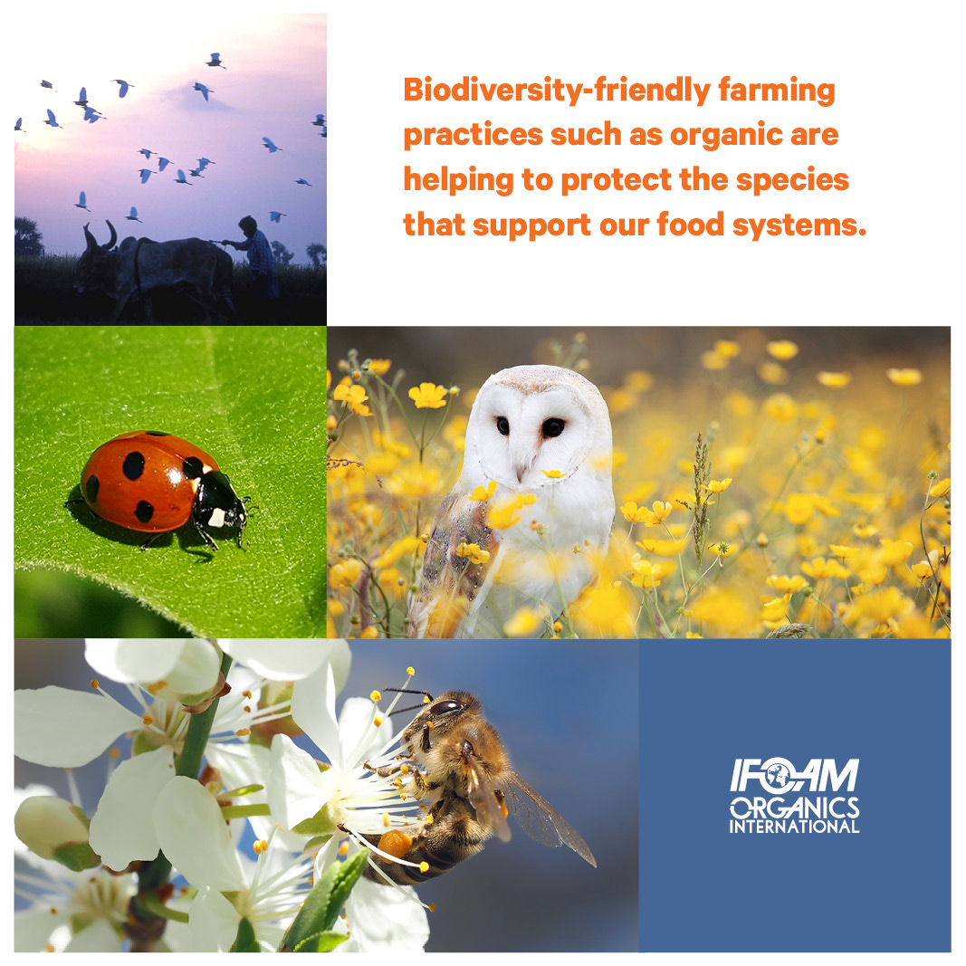 Our Biodiversity, Our Food, Our Health, Our Planet