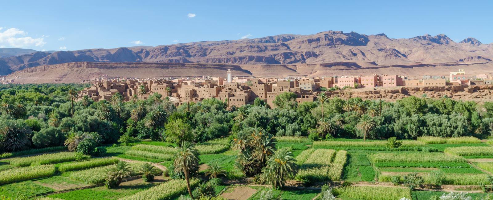 IFOAM – Organics International Supporting the Growth of Organic in Morocco